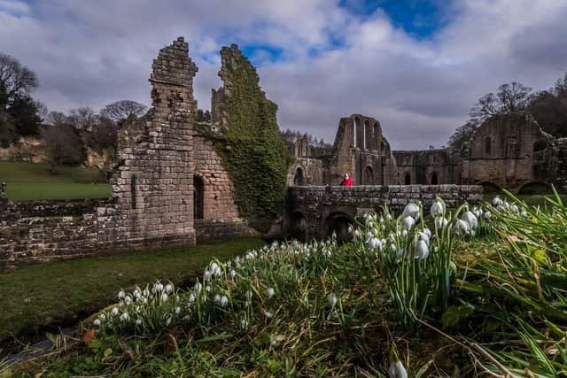 Spring is just around the corner at Fountains Abbey near Ripon in North Yorkshire. (Pic credit: James Hardisty)