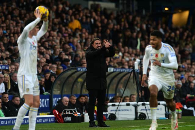 Leeds United boss Daniel Farke led his side to a win over Plymouth Argyle. Image: Jonathan Gawthorpe