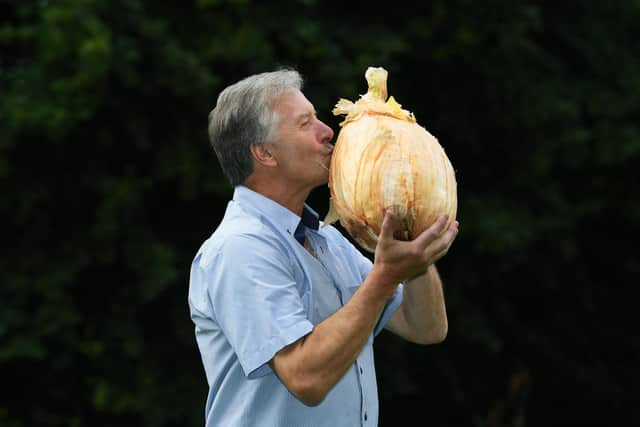Harrogate Autumn Flower Show at Newby Hall and Gardens, Ripon. Gareth Griffin from Guernsey with his world record heaviest onion of 19 lb 7.7 oz.
Photographed for the Yorkshire Post by Jonathan Gawthorpe.