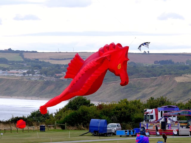 A seahorse kite