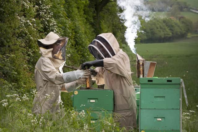 Bee Keepers Agata Masternak (right) and  Agnieszka Duchnik tend to the hives at Pocklington.. Picture taken by Yorkshire Post Photographer Simon Hulme