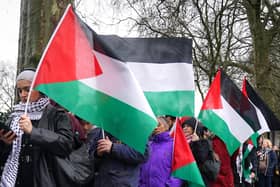 People take part in a pro-Palestine rally outside the Houses of Parliament. PIC: Lucy North/PA Wire