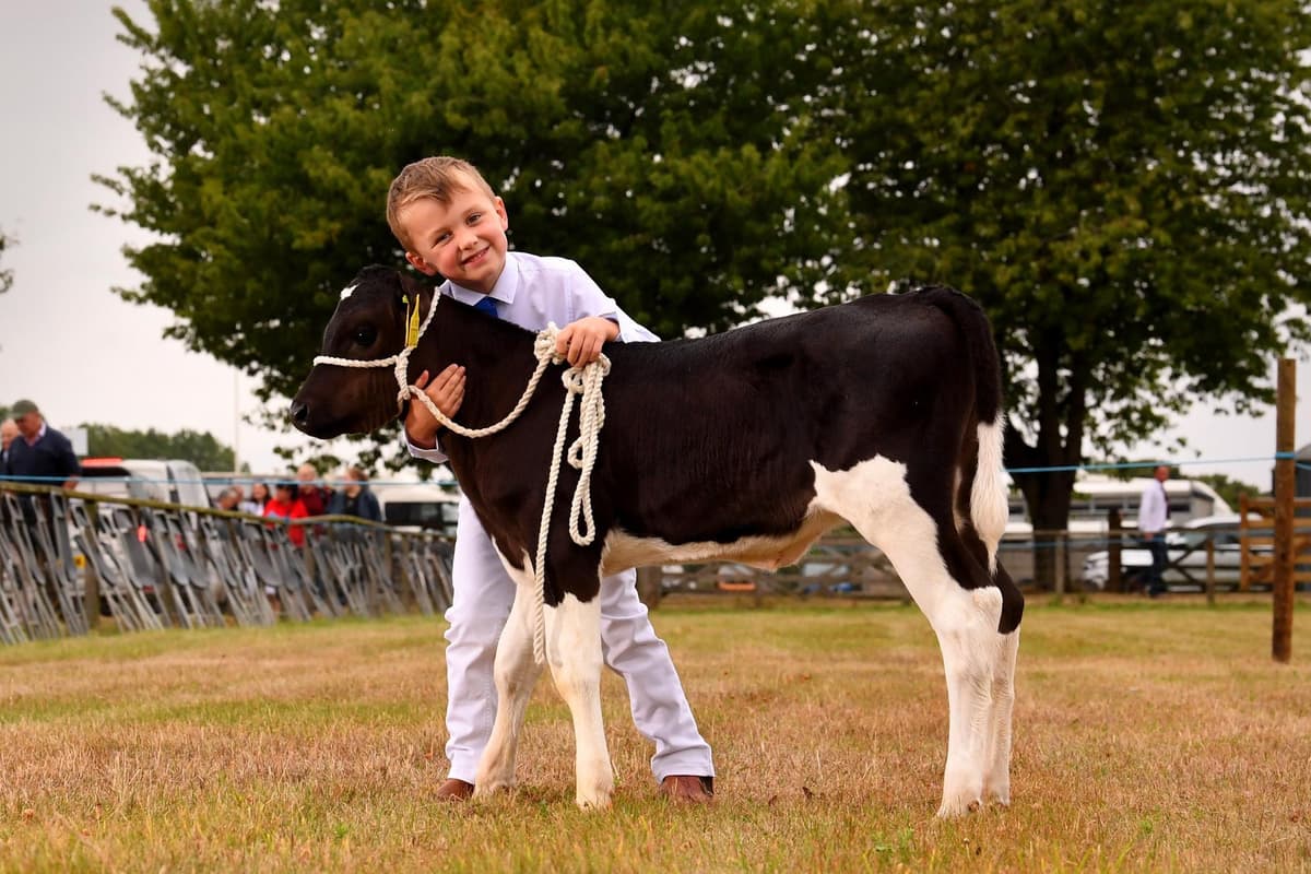 Driffield Show 2026: Die besten Bilder von der größten eintägigen ...