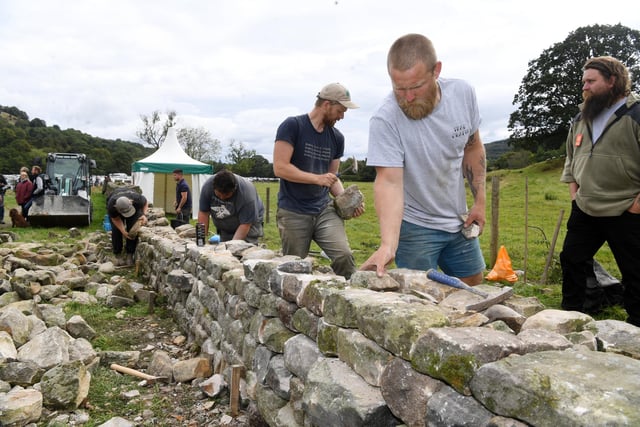 Drystone walling at the Nidderdale Show.