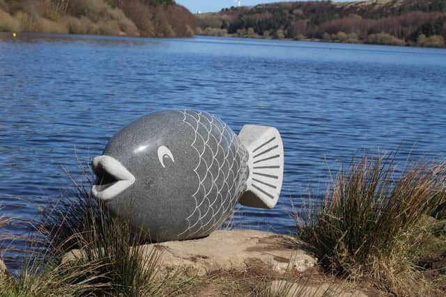 Fish Out Of Water at Scammonden Reservoir
