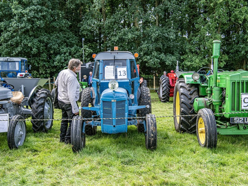 Visitors look at the vintage tractors