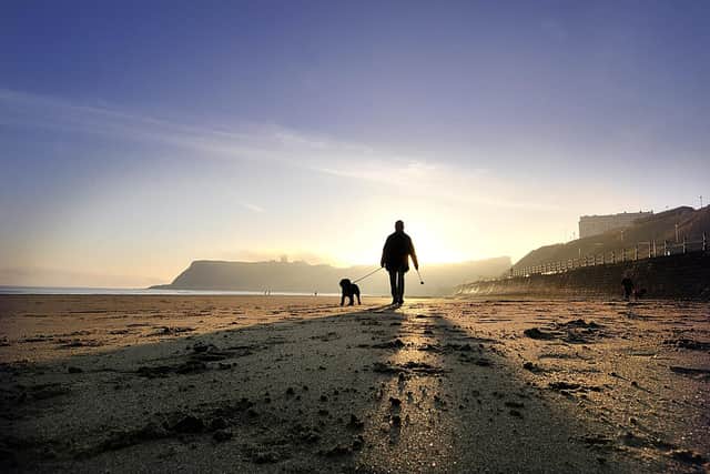 A lone dog walker on Scarborough's North Bay Beach  as the mist clears over the Castle. Image: Richard Ponter
