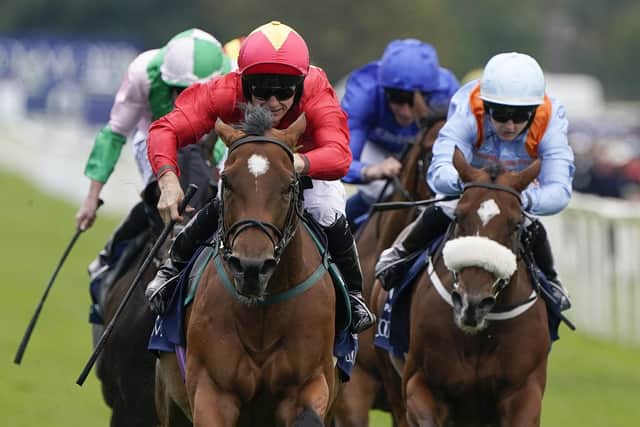 Four-timer: Malton trained Highfield Princess won four Group Ones - including York's Nunthorpe Stakes at the Ebor Festival - and over £1.8m in prizemoney during her stellar sprinting career. (Photo by Alan Crowhurst/Getty Images)