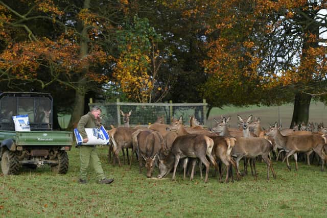 David Grewer also has a red deer herd and supplies venison