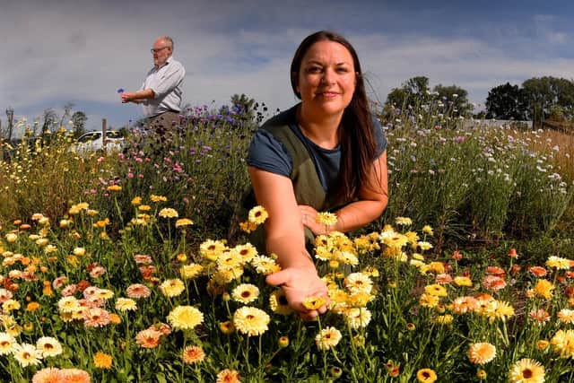 Hannah and Martin Lamb in their field of edible flowers near Doncaster. Picture taken by Yorkshire Post Photographer Simon Hulme