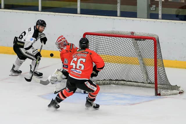 WE MEET AGAIN: Hull Seahawks and Sheffield Steeldogs come face-to-face with each other again at Ice Sheffield on Saturday night. Picture courtesy of Steve Pollitt/Seahawks Media.