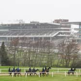 The Cheltenham Festival runs from Tuesday to Friday (PIcture: PA)