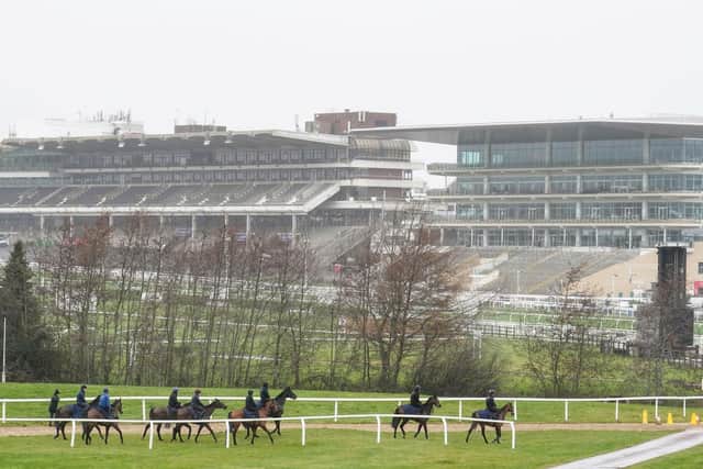 The Cheltenham Festival runs from Tuesday to Friday (PIcture: PA)