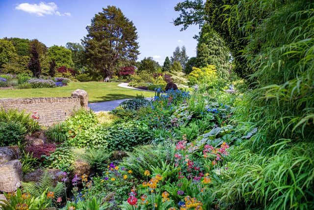 The colourful flower beds at RHS Harlow Carr Gardens. (Pic credit: Tony Johnson)