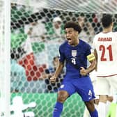 Tyler Adams of United States reacts following the team's first goal during the FIFA World Cup Qatar 2022 Group B match between IR Iran and USA at Al Thumama Stadium (Picture: Tim Nwachukwu/Getty Images)