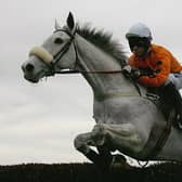 Great partnership: Jockey Graham Lee and Grey Abbey win at Cheltenham in 2005. He also won the previous year's Scottish Grand National on the grey and victory in the 2006 Grand National on Amberleigh House meant he became only the third rider to do the National double. 
(Photo by Julian Herbert/Getty Images)