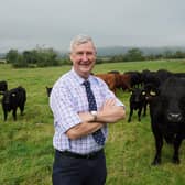 The Yorkshire Vet star Peter Wright with a herd of cattle. ©Daisybeck Studios