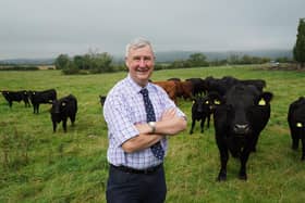 The Yorkshire Vet star Peter Wright with a herd of cattle. ©Daisybeck Studios
