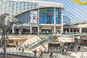 Trinity Leeds owner Landsec has launched a new nature strategy, which aims to improve nature and biodiversity in cities and urban places.