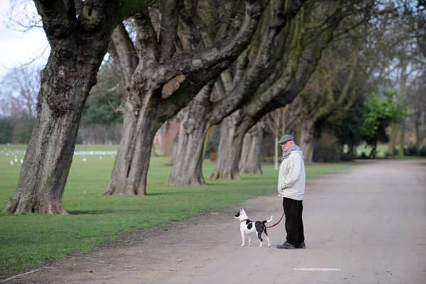 A dog walker in East Park, Hull