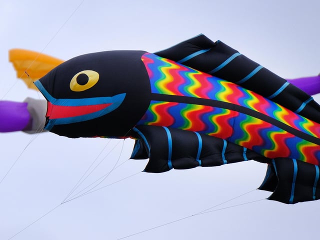 A colourful fish kite