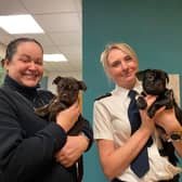 A litter of newborn pups who were found dumped in woodland in Sheffield have survived against the odds - and have loving new homes.
cc RSPCA