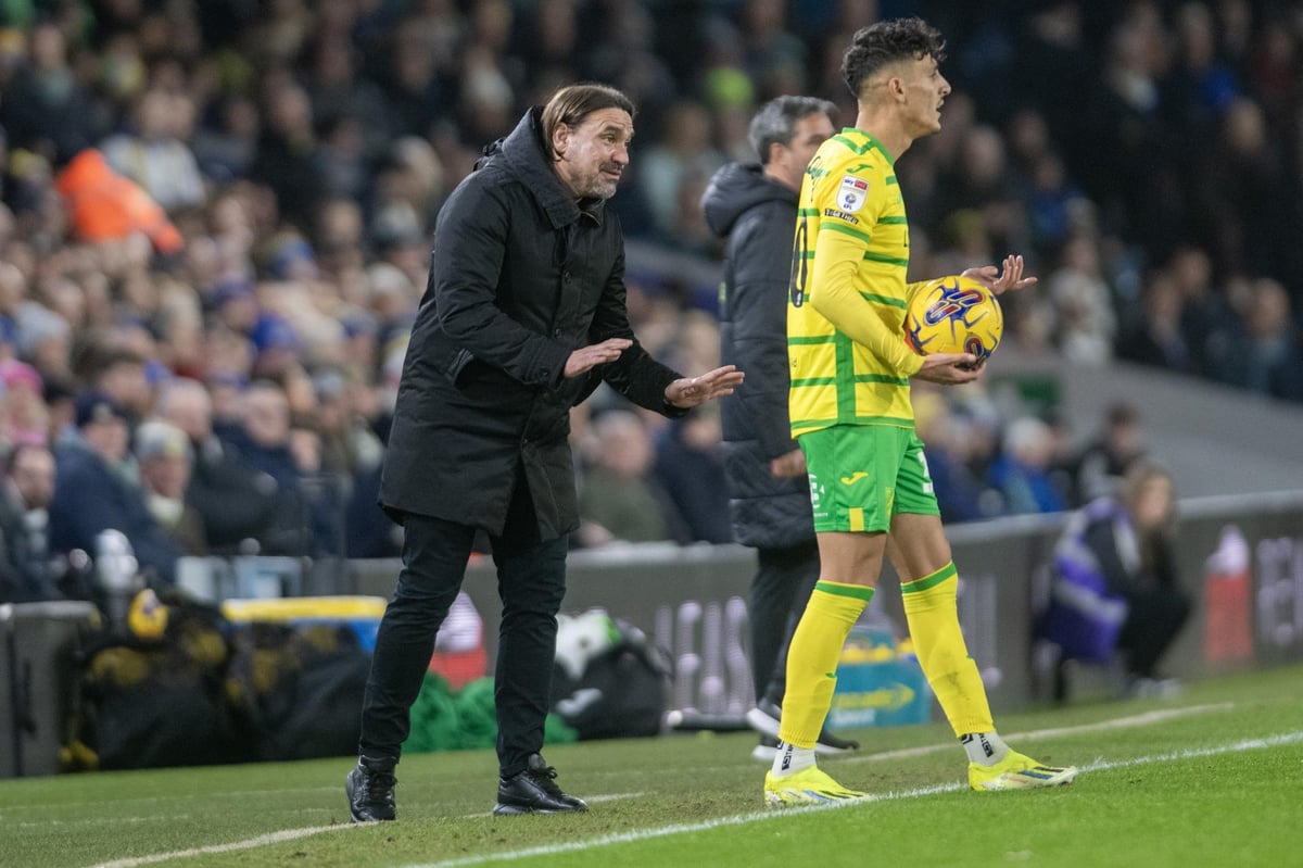 Plymouth Argyle v Leeds United: Why Daniel Farke is tired of talk about weary footballers