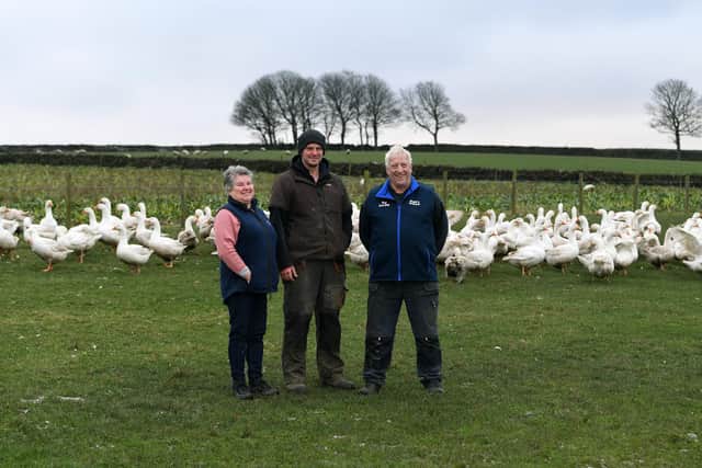 Jim and Angela Battye, with their son John and the geese in the field. Picture Jonathan Gawthorpe