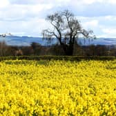 A field at Gate Helmsley near York with a backdrop of the Yorkshire Wolds. Picture: Gary Longbottom.