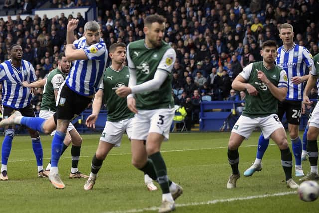 BIG MOMENT: Callum Paterson scores the game's only goal against Plymouth Argyle to put Sheffield Wednesday top of the league.  Picture: Steve Ellis.
