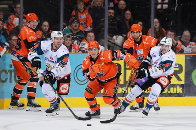 TIGHT NIGHT: Sheffield Steelers' Brett Neumann battles for puck possession against Belfast Giants during Sunday's 3-2 loss. Picture courtesy of Dean Woolley/EIHL.