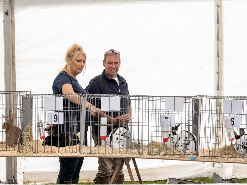 Visitors look at the rabbits in the fur and feathers tent