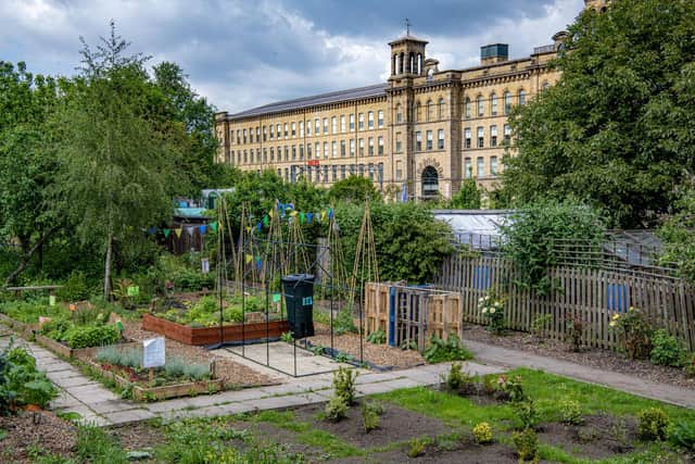 Allotments in the shadow of Salts Mill in Saltaire, photographed by Tony Johnson for The Yorkshire Post.  26th May 2023