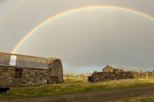 Katy Phenix, 33, her partner Josh Moore, 35, children, Hetty, 6, and Teddy, 11, moved to Fair Isle, Scotland, along with three dogs, and four cats