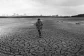 27th April 1976:  A man walking across Pitsford Reservoir, Northants which had dried up during the 1976  drought.  (Photo by Evening Standard/Getty Images)