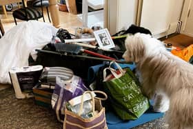 Harry Gration's grieving dog looks on as one of the twins packs for University