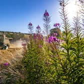 Farmers pass fireweed as they take advantage of last year's long hot dry weather to harvest the wheat in fields close to Thixendale in the Yorkshire Wolds. PIC: Tony Johnson