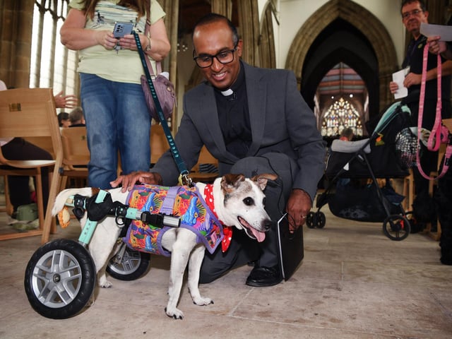Revd Rob Sueka blesses Minnie.