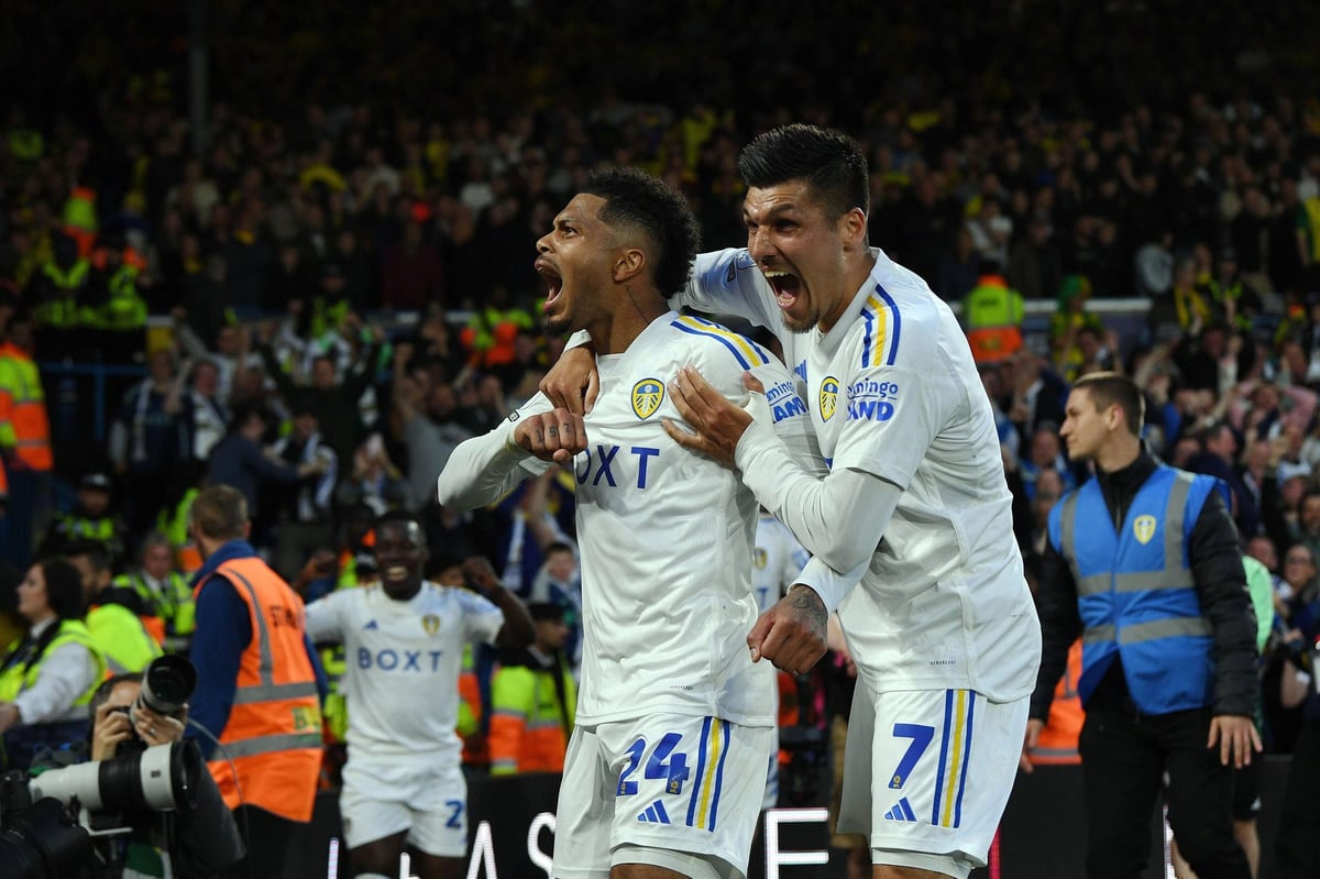 'Immaculate', 'in-character', 'irrepressible': 9s and 8s for Leeds United players as they saunter to Wembley play-off final at Norwich City's expense