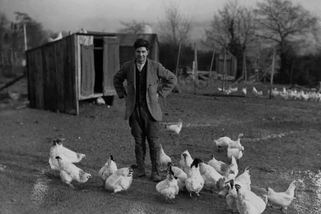 Chicken farmer Norman Thorne standing amongst his birds at Crowborough, Sussex, on the exact spot where the remains of his missing fiancee Elsie Cameron were later found buried. Photo by Kirby/Topical Press Agency/Getty Images.
