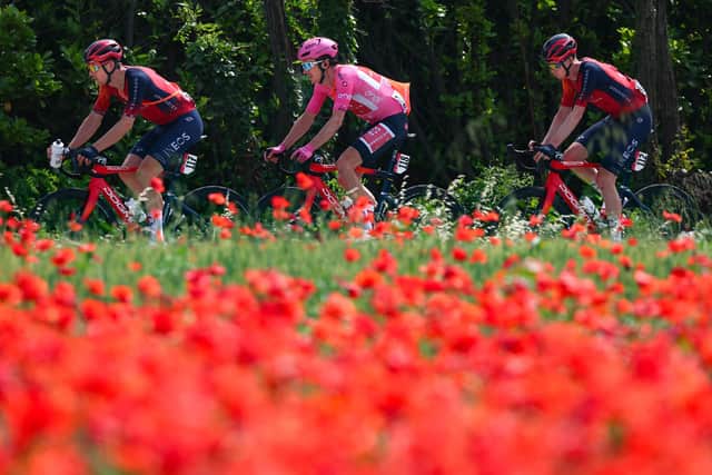INEOS Grenadiers's British rider Geraint Thomas wearing the overall leader's pink jersey (C) cycles past a poppy field with INEOS Grenadiers's British rider Ben Swift (L) and INEOS Grenadiers's Dutch rider Thymen Arensman (R) during the seventeenth stage of the Giro d'Italia 2023 cycling race, 197 km between Pergine Valsugana and Caorle, near Venice on May 24, 2023. (Photo by Luca Bettini / AFP) (Photo by LUCA BETTINI/AFP via Getty Images)