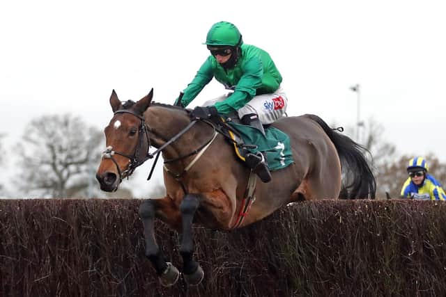 FAVOURITE: Zambella is likely to take some stopping in her bid for back-to-back victories in the bet365 Yorkshire Silver Vase Mares’ Chase at Doncaster on Thursday. Picture: Tim Goode/PA.