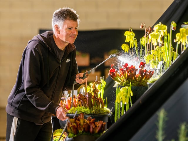 Peter Walker, from Wack's Wicked Plants, based at Scampston, near Malton, who specialist in carnivorous plants busy watering his display. Picture By Yorkshire Post Photographer,  James Hardisty.