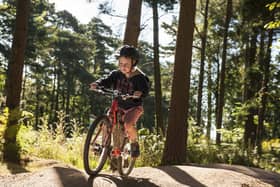 There is a lot to enjoy this autumn and winter at Dalby Forest