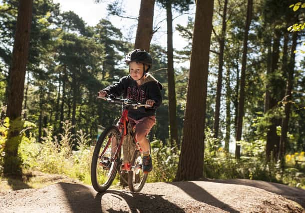 There is a lot to enjoy this autumn and winter at Dalby Forest