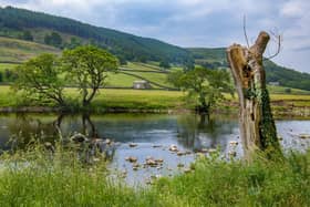 Concerns are being raised over the impact of pesticides on rivers in national parks, such as the River Wharfe in the Yorkshire Dales.