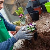 Gardening can help people unwind and de-stress