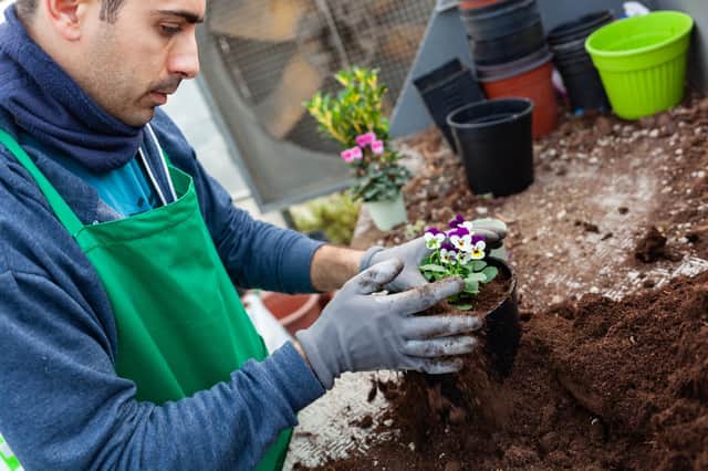 Gardening can help people unwind and de-stress