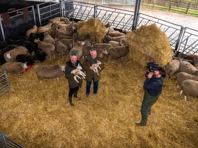 Cannon Hall Farm has proven to be hugely popular with visitors from across the globe following its appearance on television. PIC: James Hardisty.