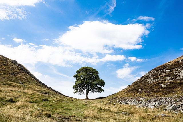 Found in Northumberland National Park is the Sycamore Gap, home to the most photographed tree in the UK1. This spot is a social media favourite with data showing it has 350,000 engagements across Instagram and TikTok, proving its already existing popularity. The gap exists within the vast gap between Hadrian’s Wall and border to the national park that many walkers are drawn to over the spring months.